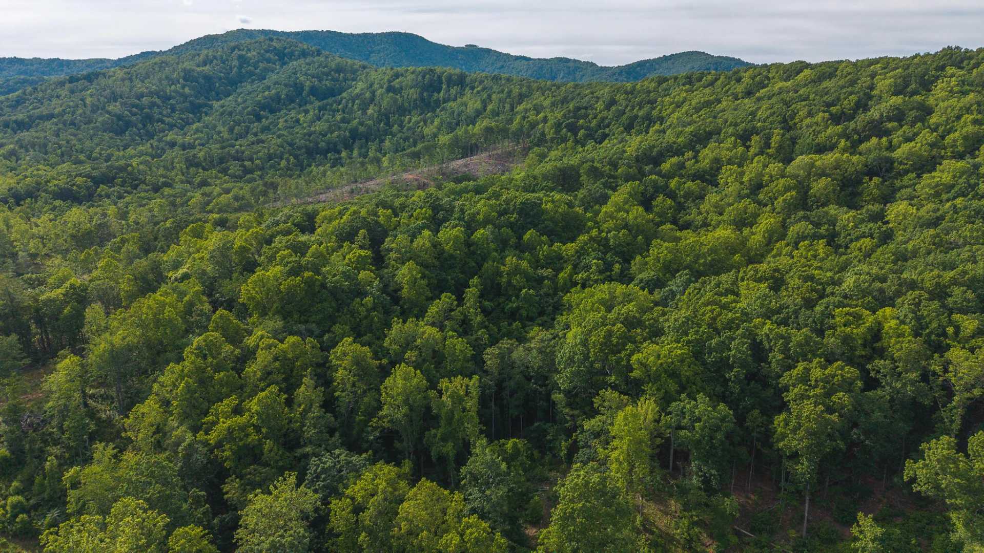 Lot 2 Shortcut DR - Photo 13