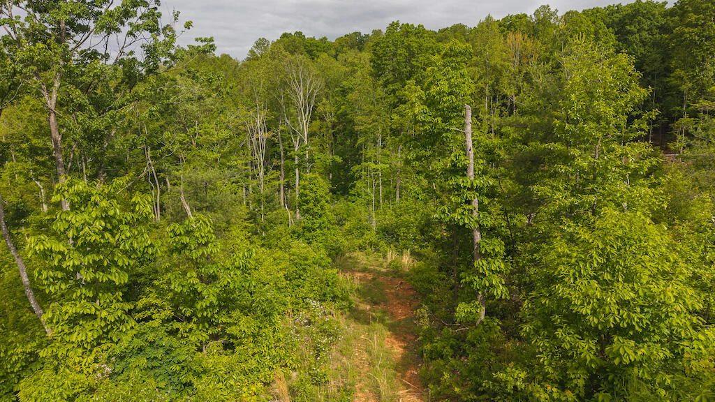 Lot 2 Shortcut DR - Photo 2