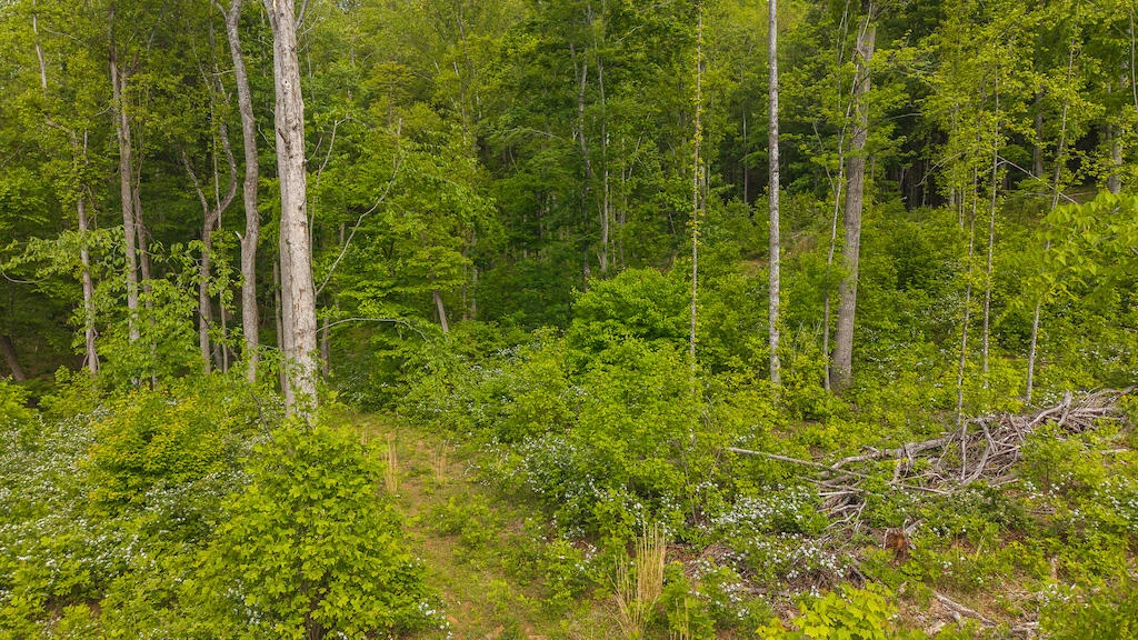Lot 2 Shortcut DR - Photo 6