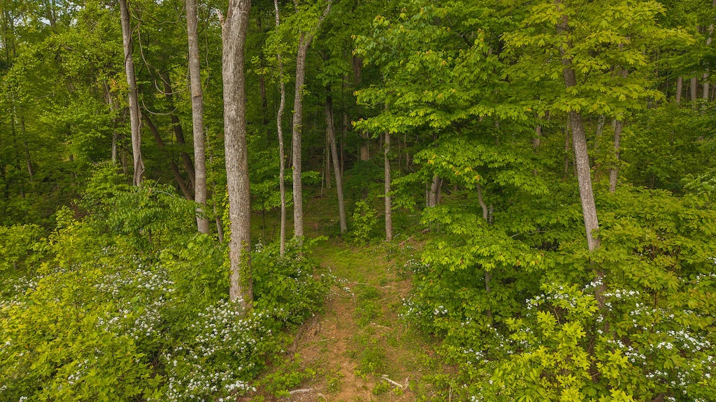 Lot 2 Shortcut DR - Photo 8