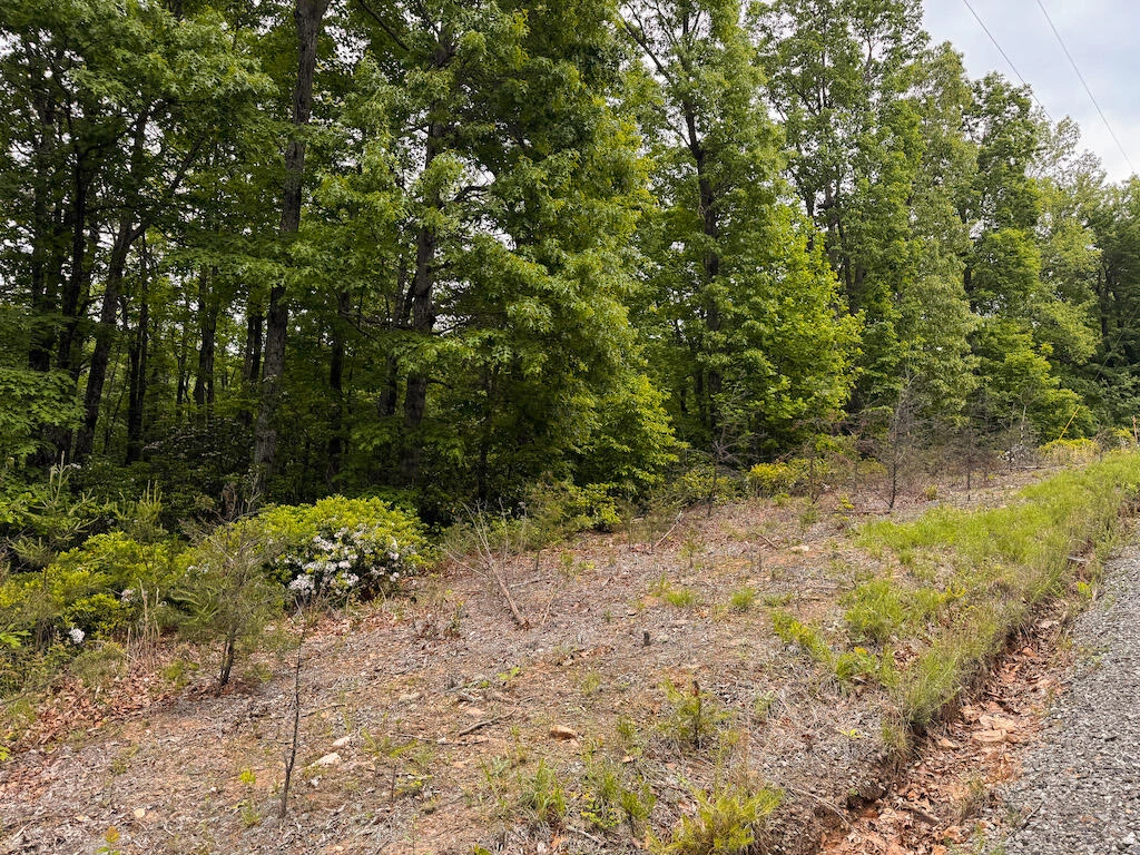 Lot 5 Shortcut DR