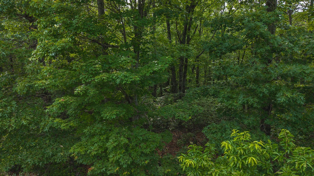 Lot 5 Shortcut DR - Photo 10
