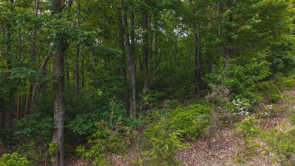 Lot 5 Shortcut DR - Photo 4