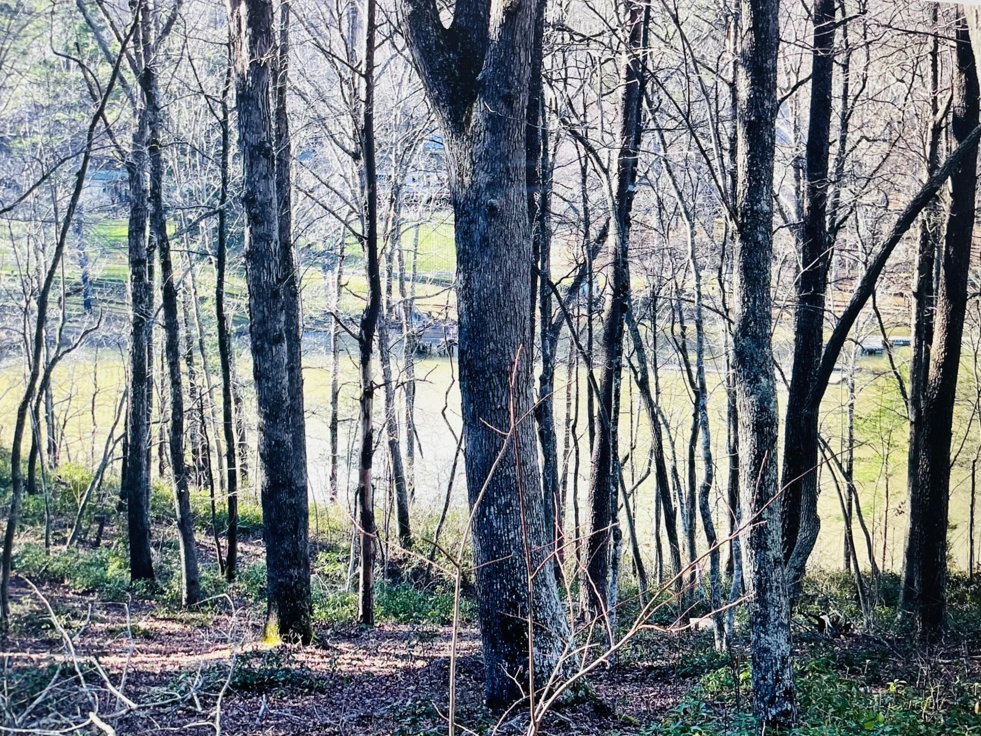 Lot 5 Falcon Ridge DR - Photo 3