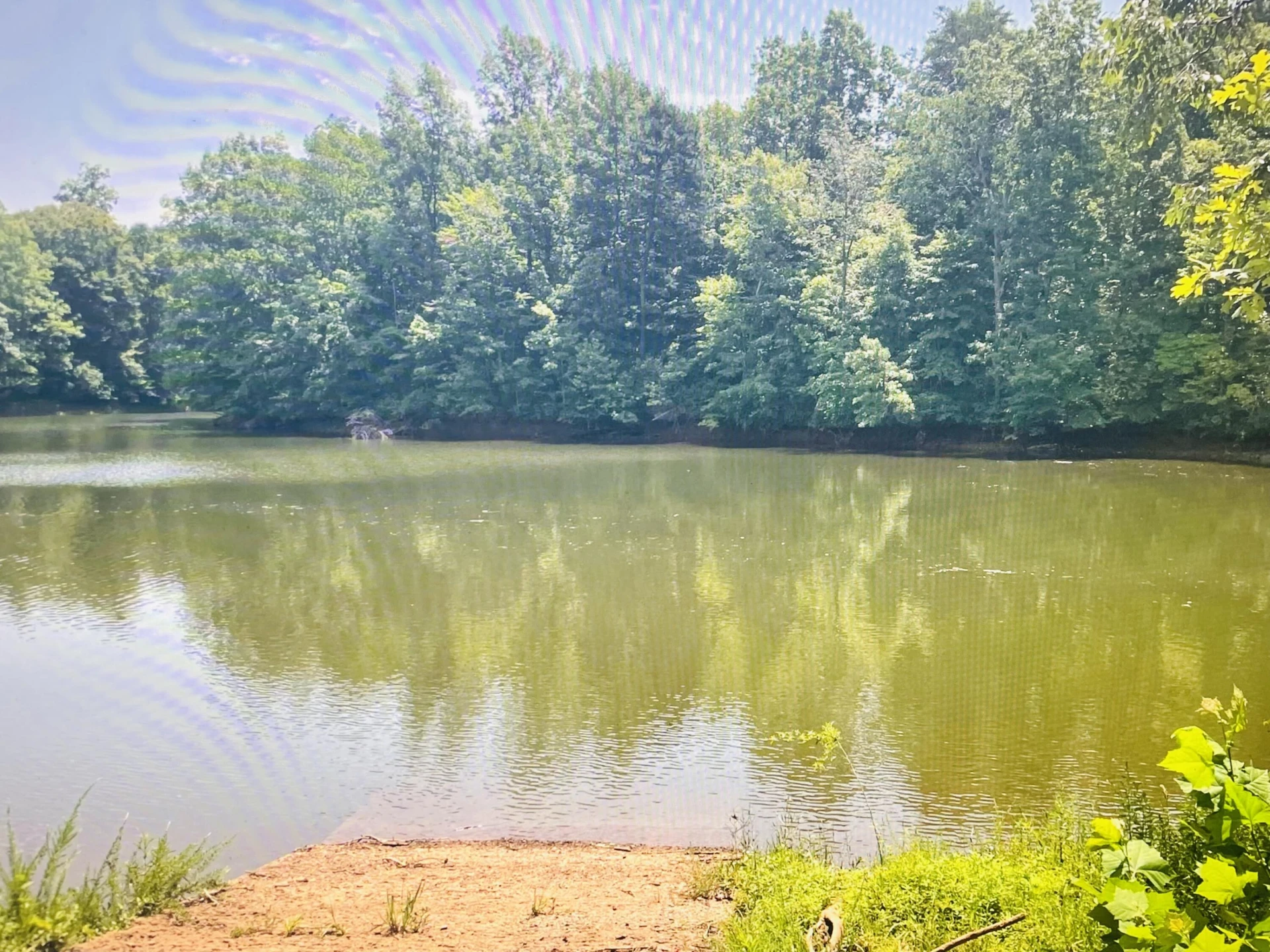 Lot 5 Falcon Ridge DR - Photo 4
