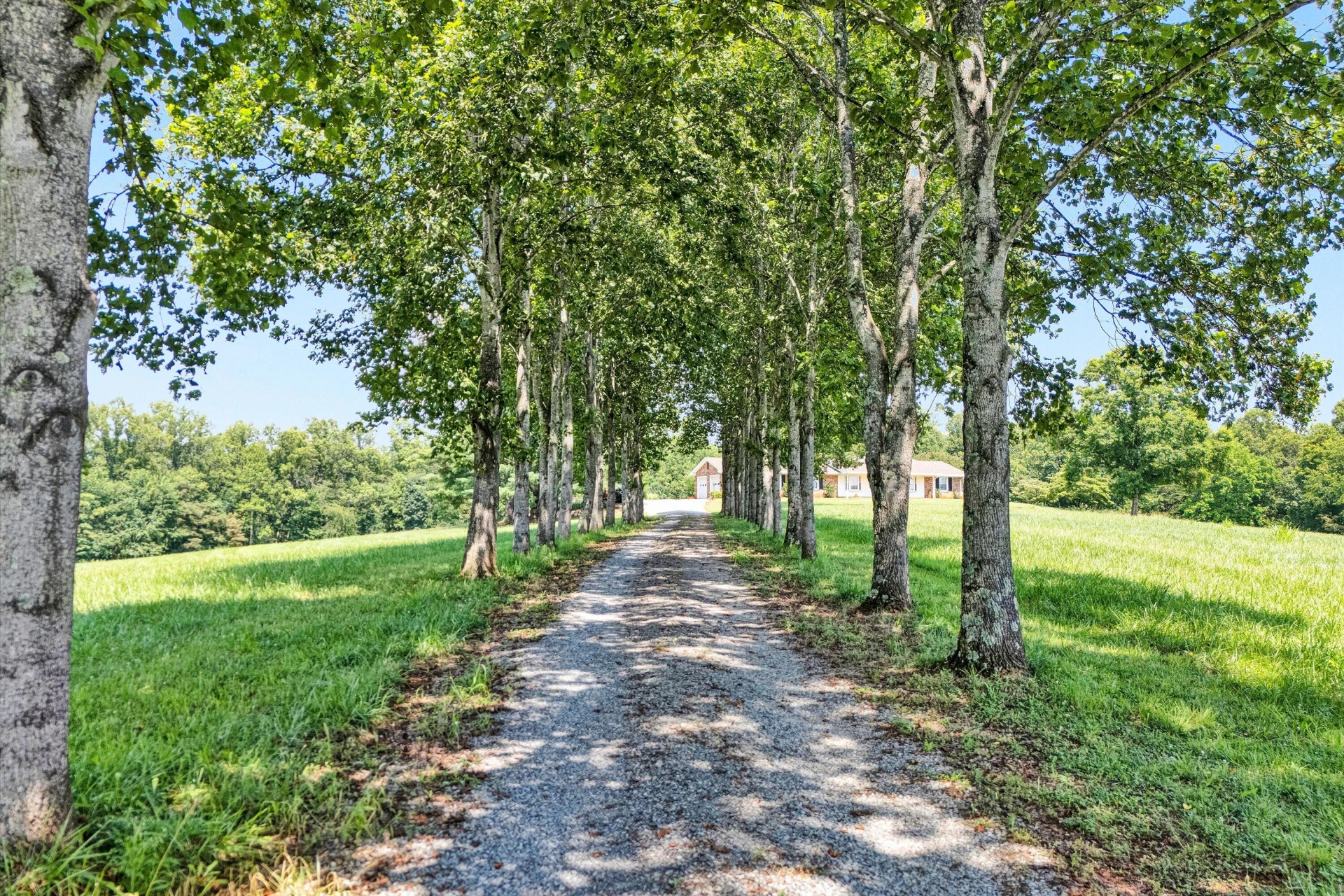 9732 Goodview RD - Photo 55