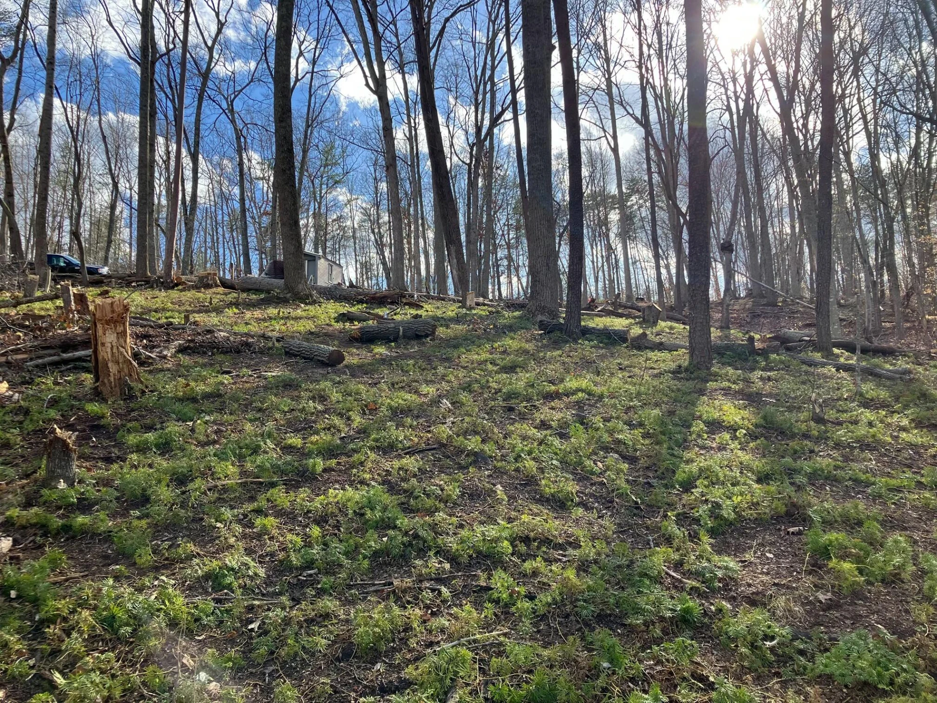 Lot 12 Gap Bridge RD - Photo 2