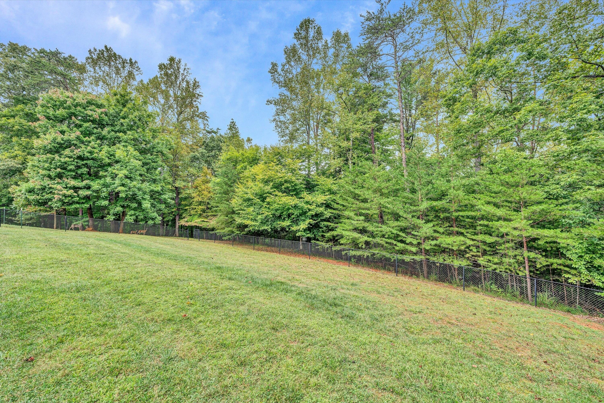4828 Hardy RD - Photo 36