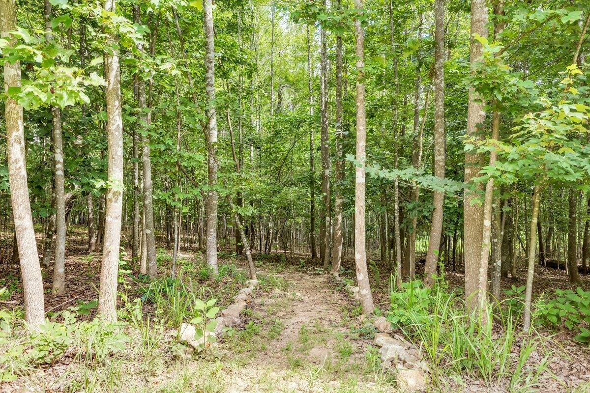 1034 Lookout CT - Photo 42
