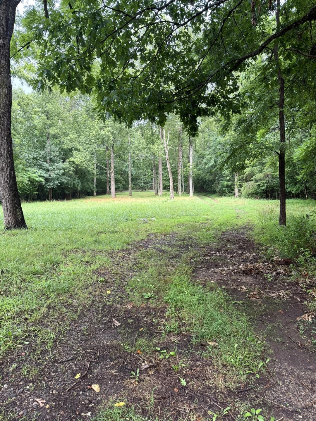 518 Briar Mountain RD - Photo 2