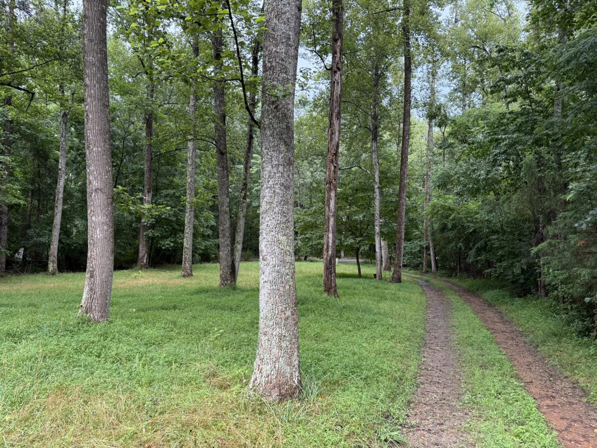 518 Briar Mountain RD - Photo 5