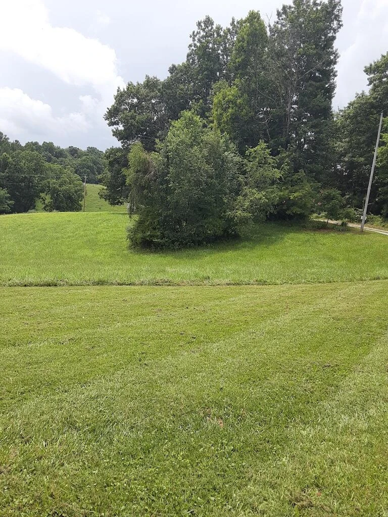 1807 Moore RD NE - Photo 5