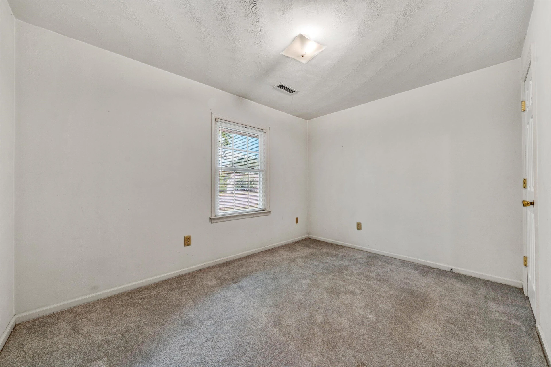 221 Spring Grove DR - Photo 16
