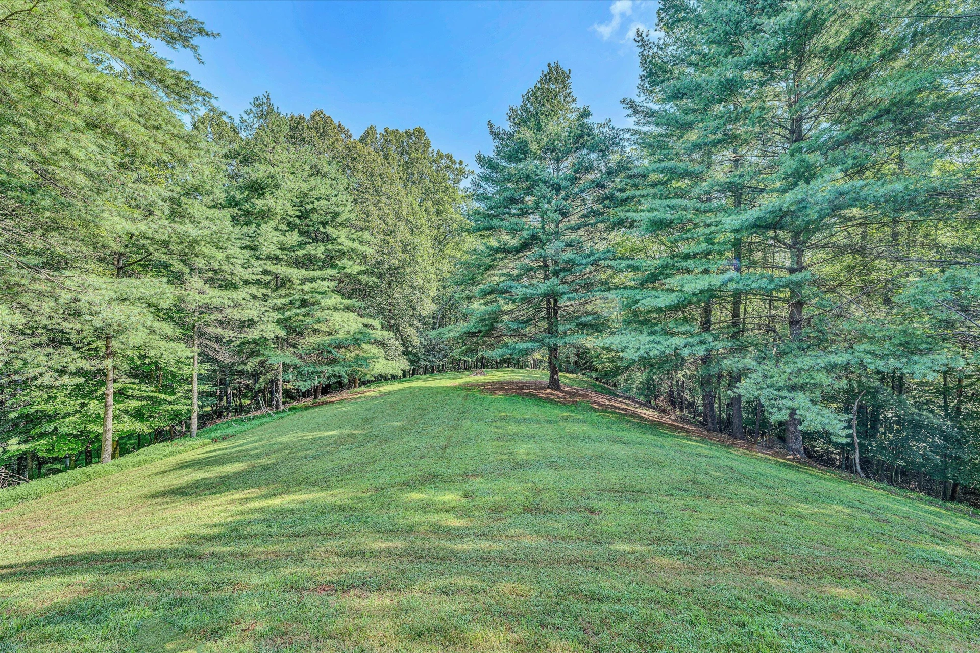 3852 Sun Valley LN - Photo 38