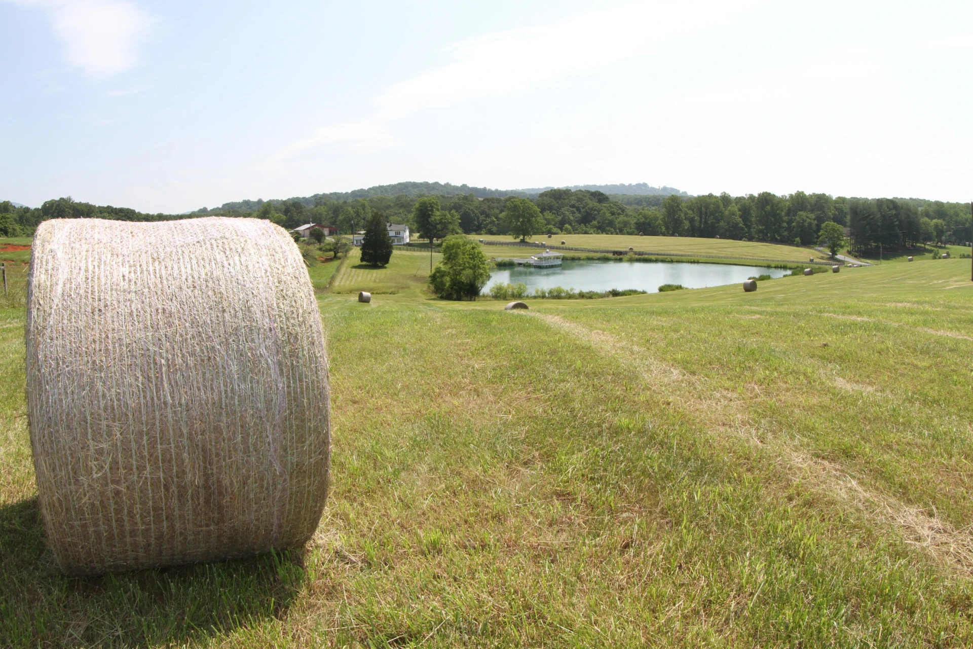 1672 Buffalo Run - Photo 10