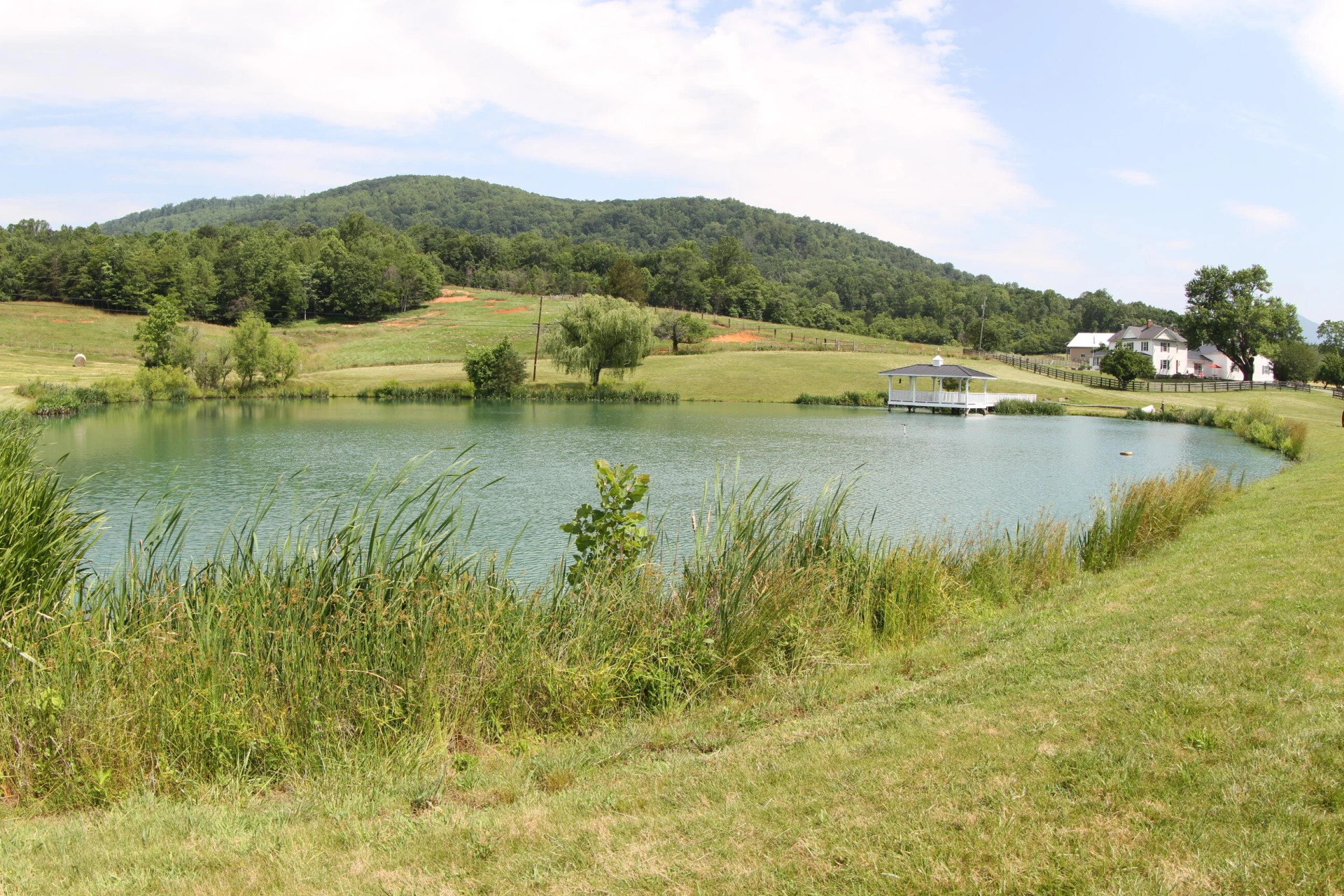 1672 Buffalo Run - Photo 11