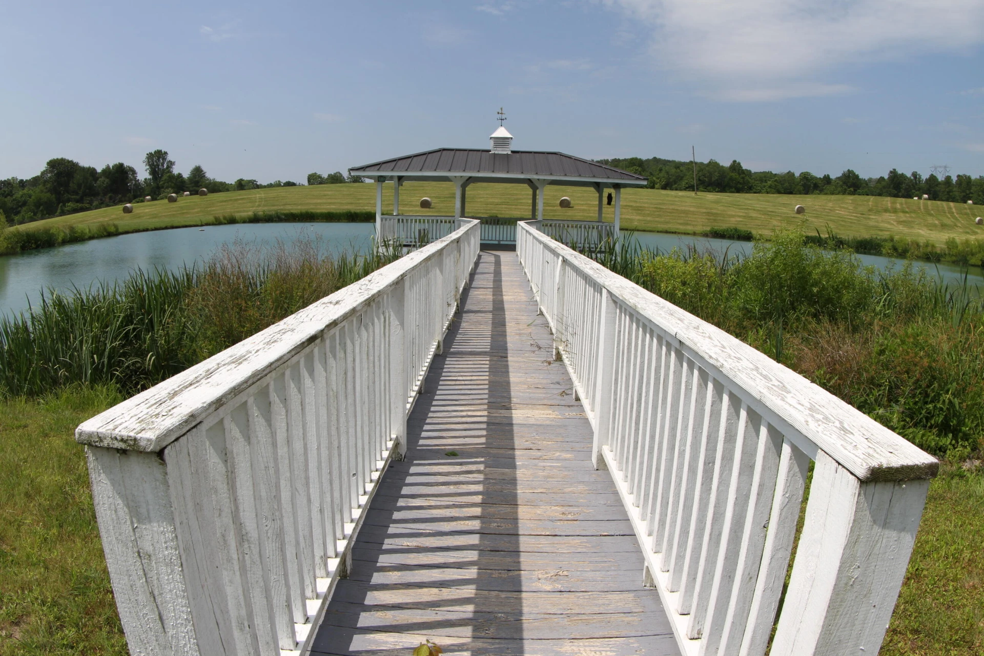 1672 Buffalo Run - Photo 13