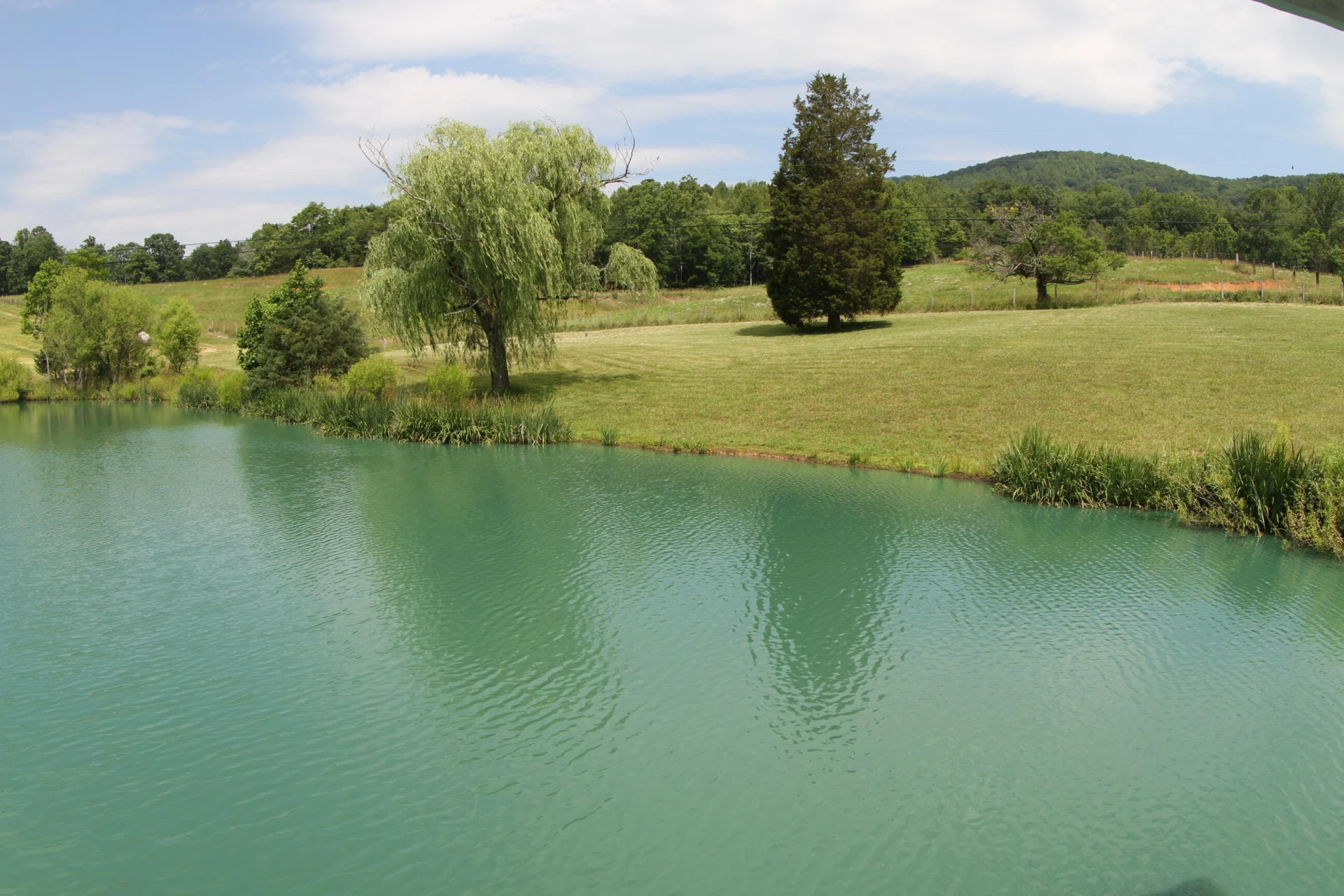 1672 Buffalo Run - Photo 17