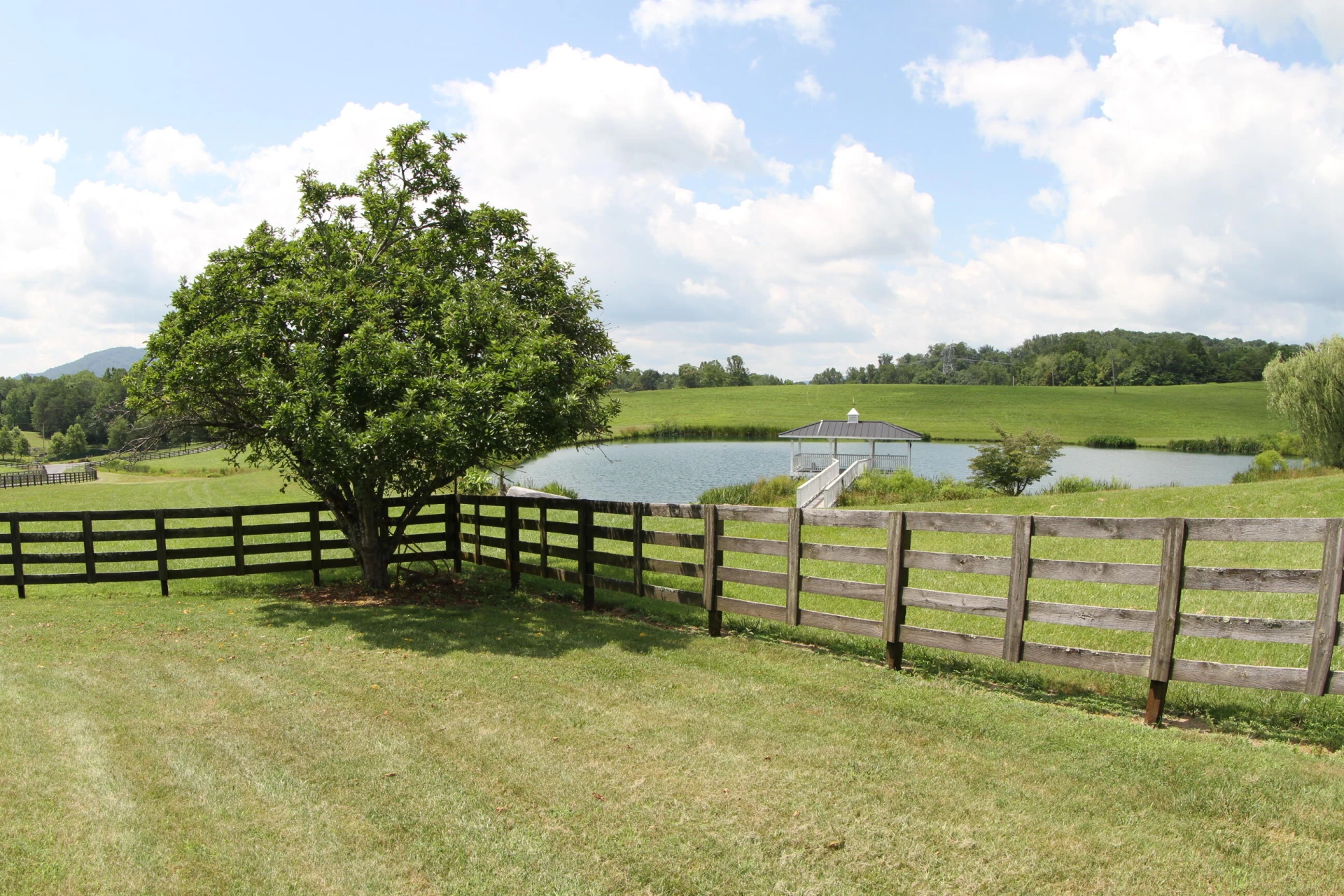 1672 Buffalo Run - Photo 30