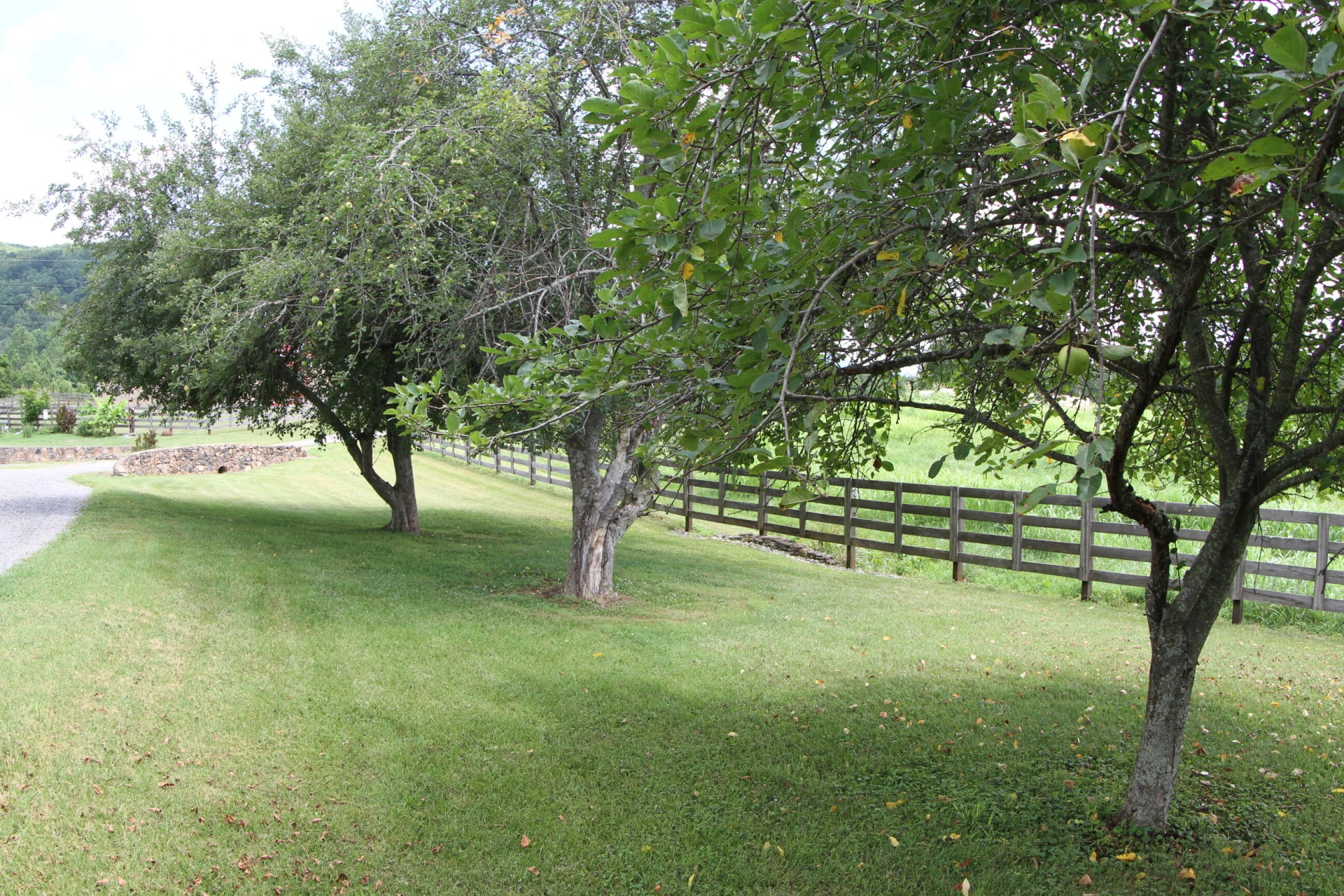 1672 Buffalo Run - Photo 35
