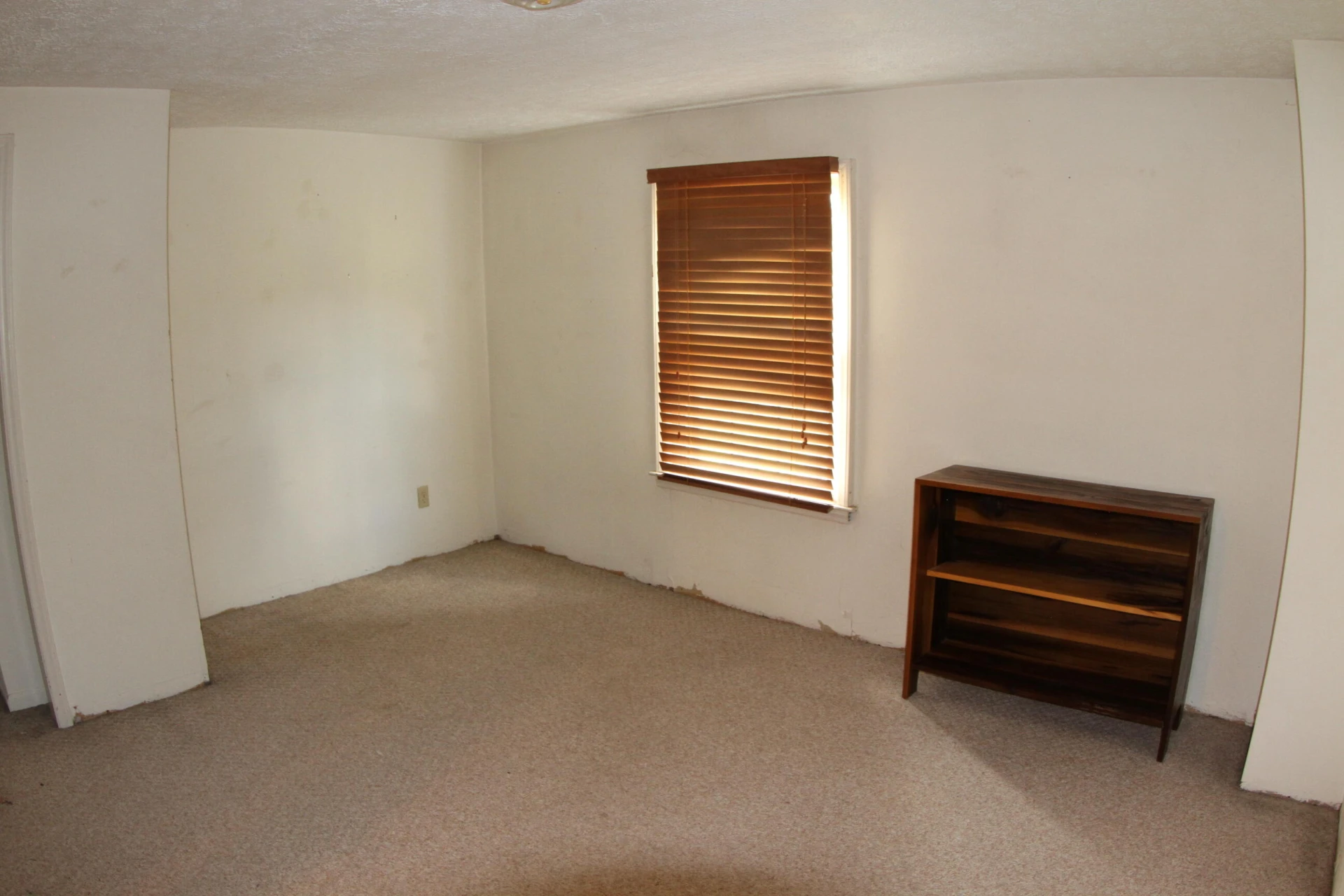 1672 Buffalo Run - Photo 52