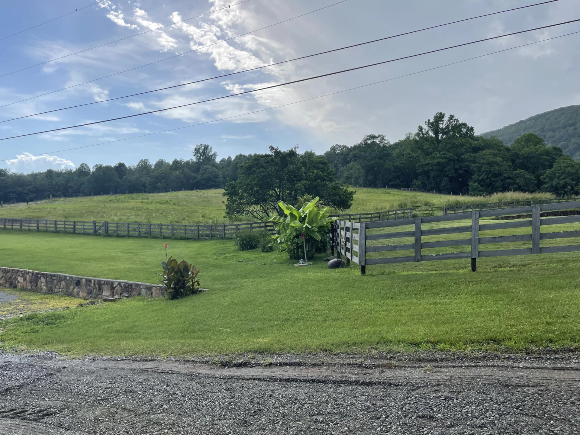 1672 Buffalo Run - Photo 88