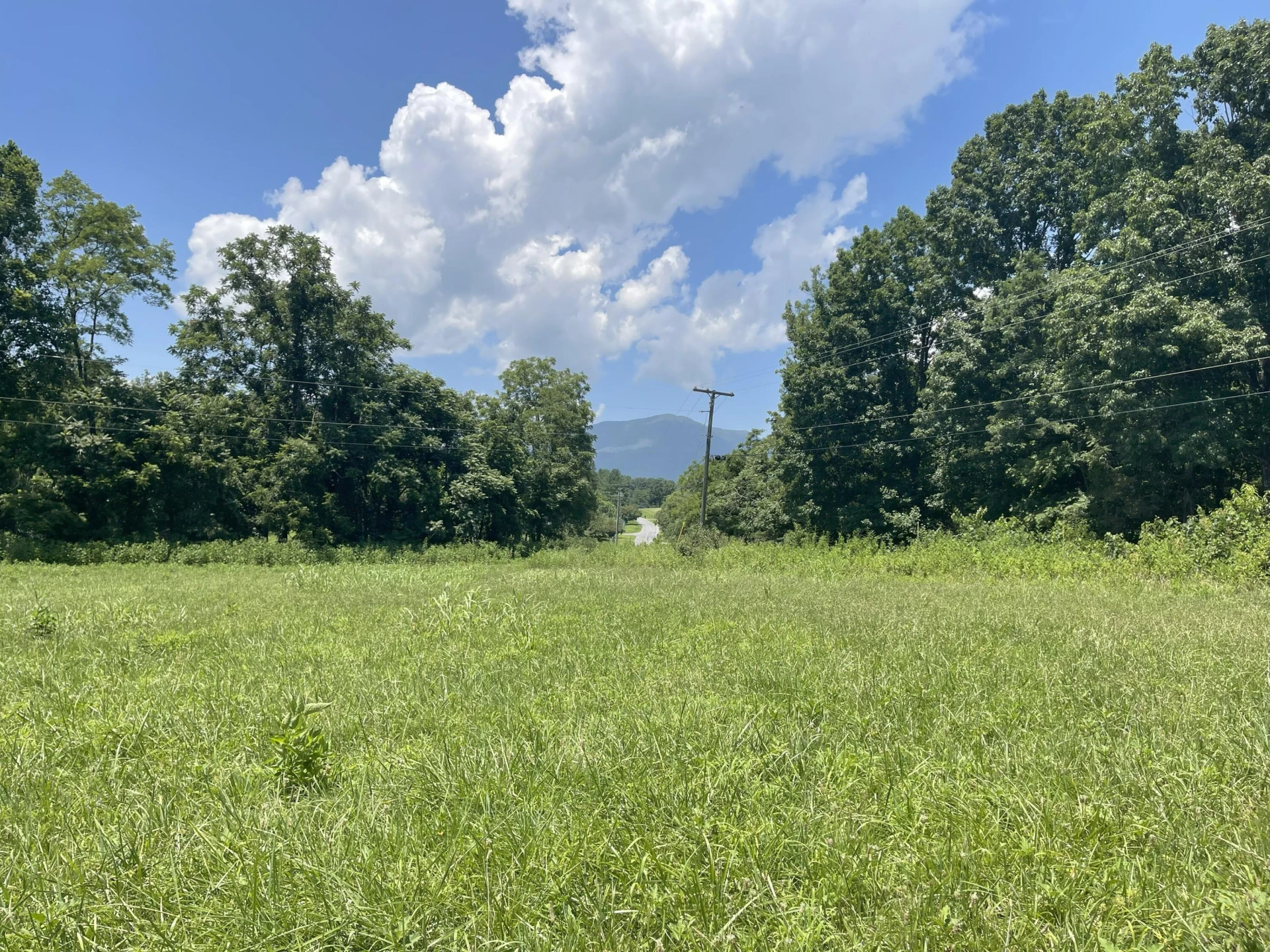 1672 Buffalo Run - Photo 94