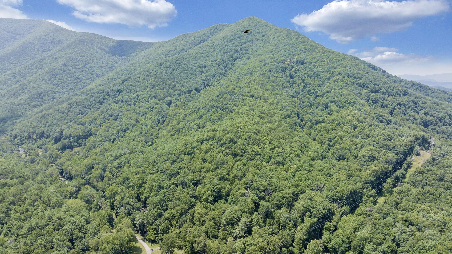 6133 Poor Mountain RD - Photo 11