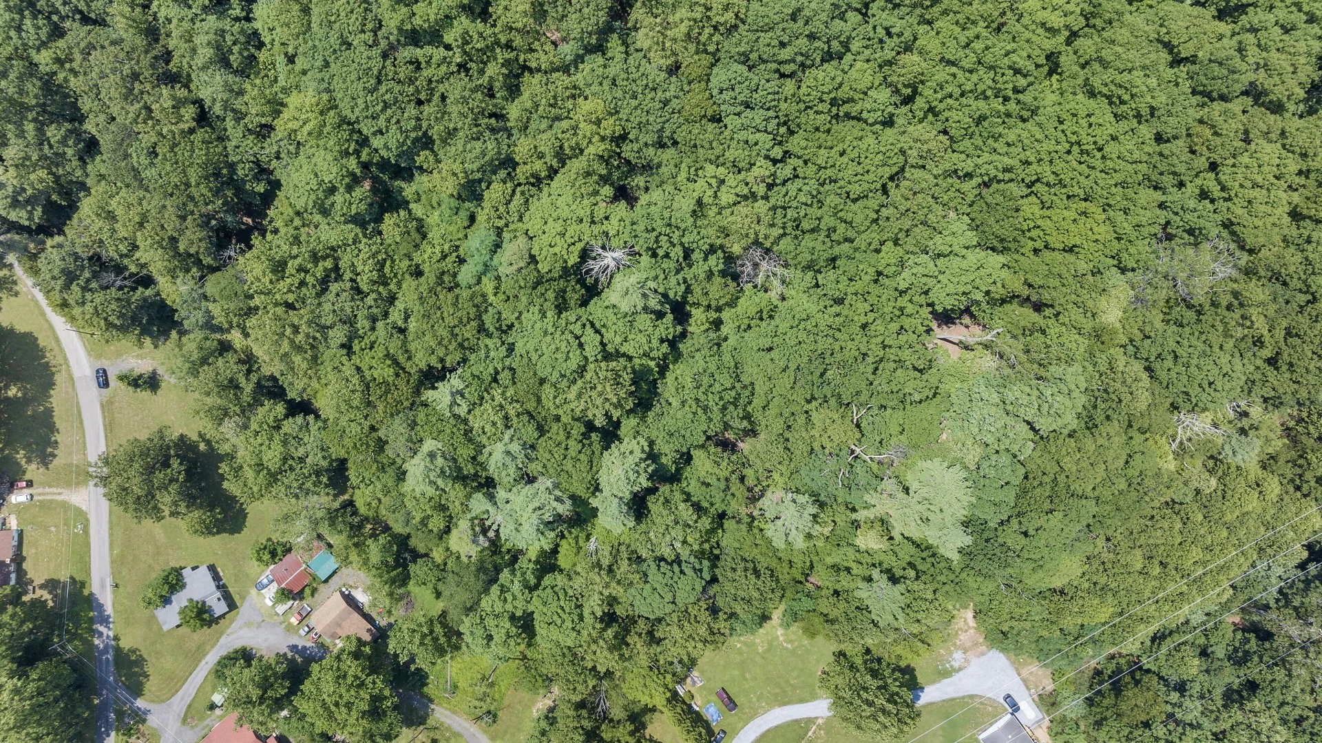6133 Poor Mountain RD - Photo 14
