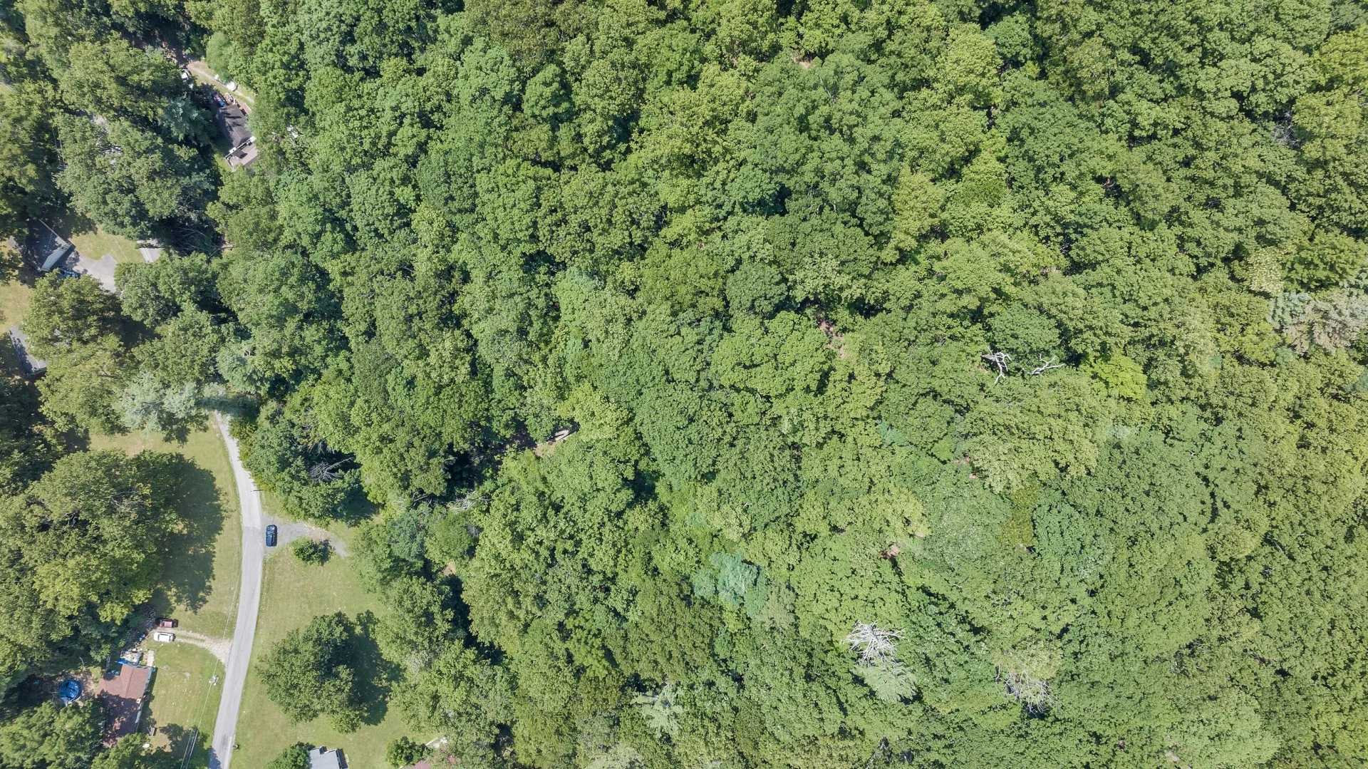 6133 Poor Mountain RD - Photo 15