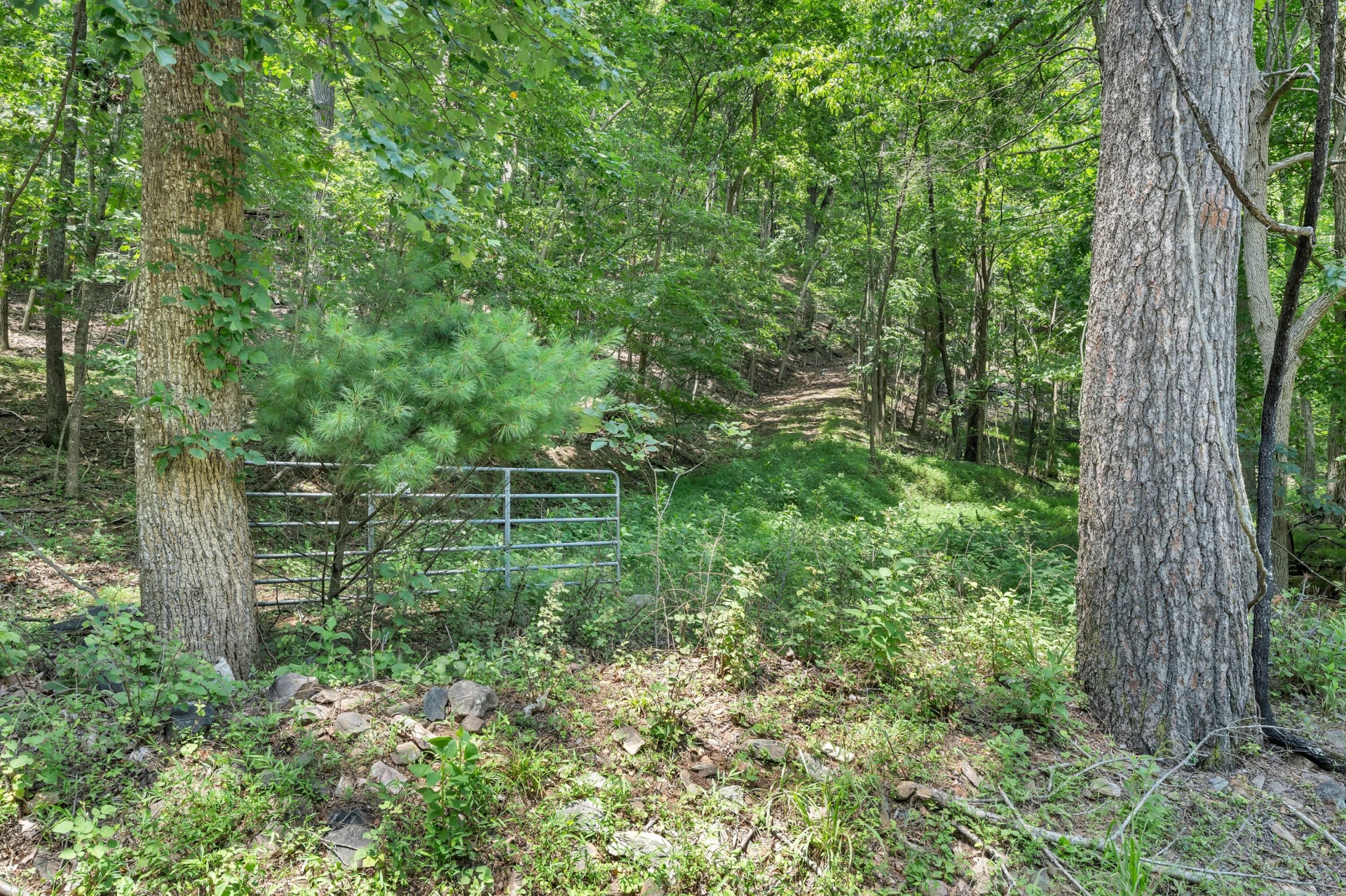6133 Poor Mountain RD - Photo 6