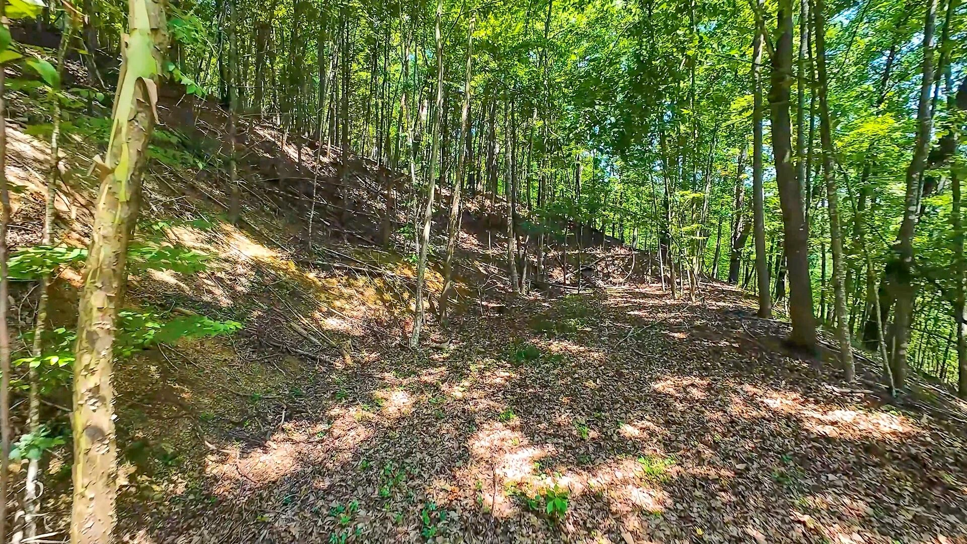 6133 Poor Mountain RD - Photo 7