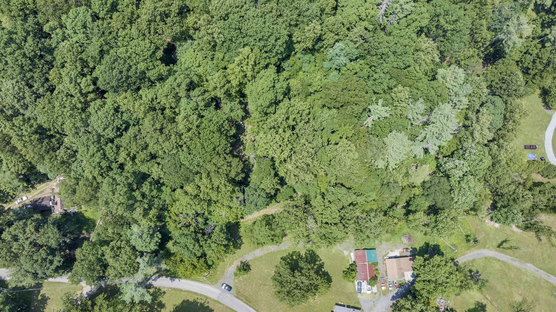 6133 Poor Mountain RD - Photo 8