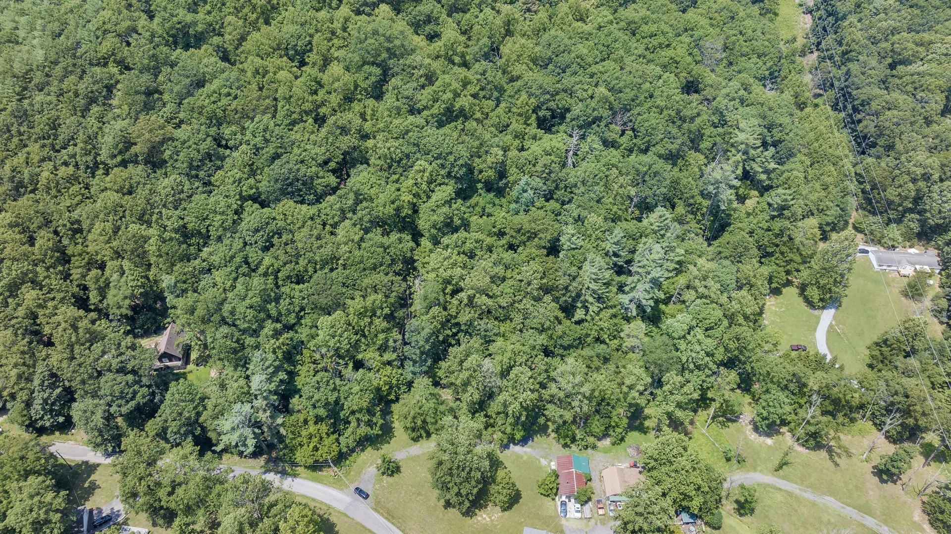 6133 Poor Mountain RD - Photo 9