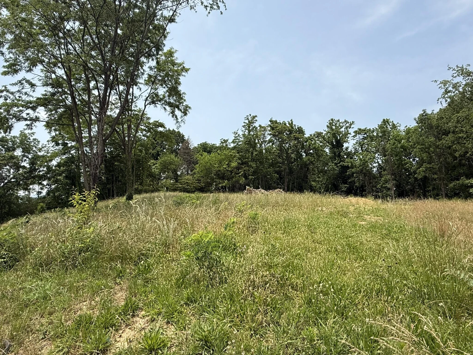 5021 Melrose AVE NW - Photo 13