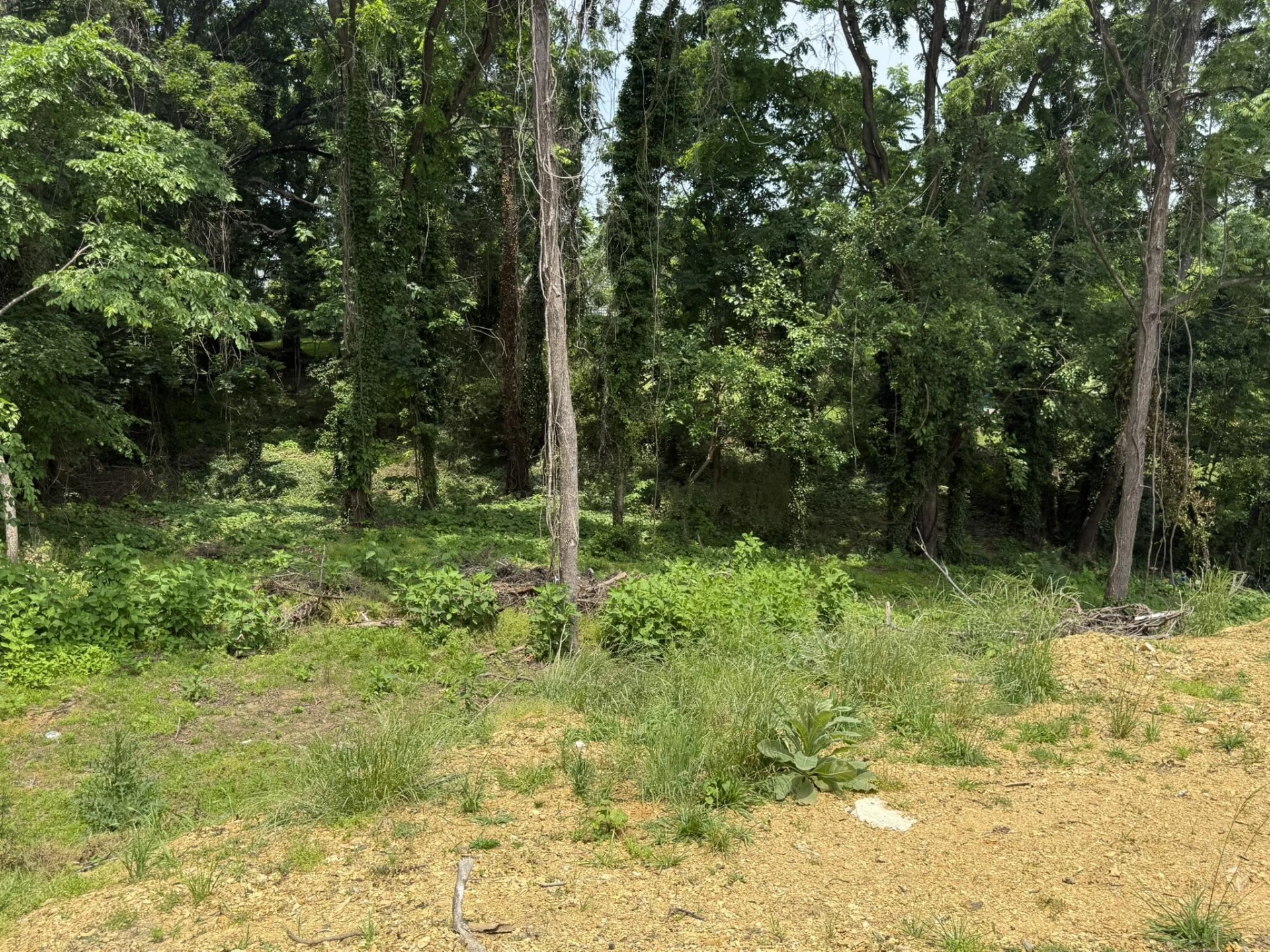 5021 Melrose AVE NW - Photo 8