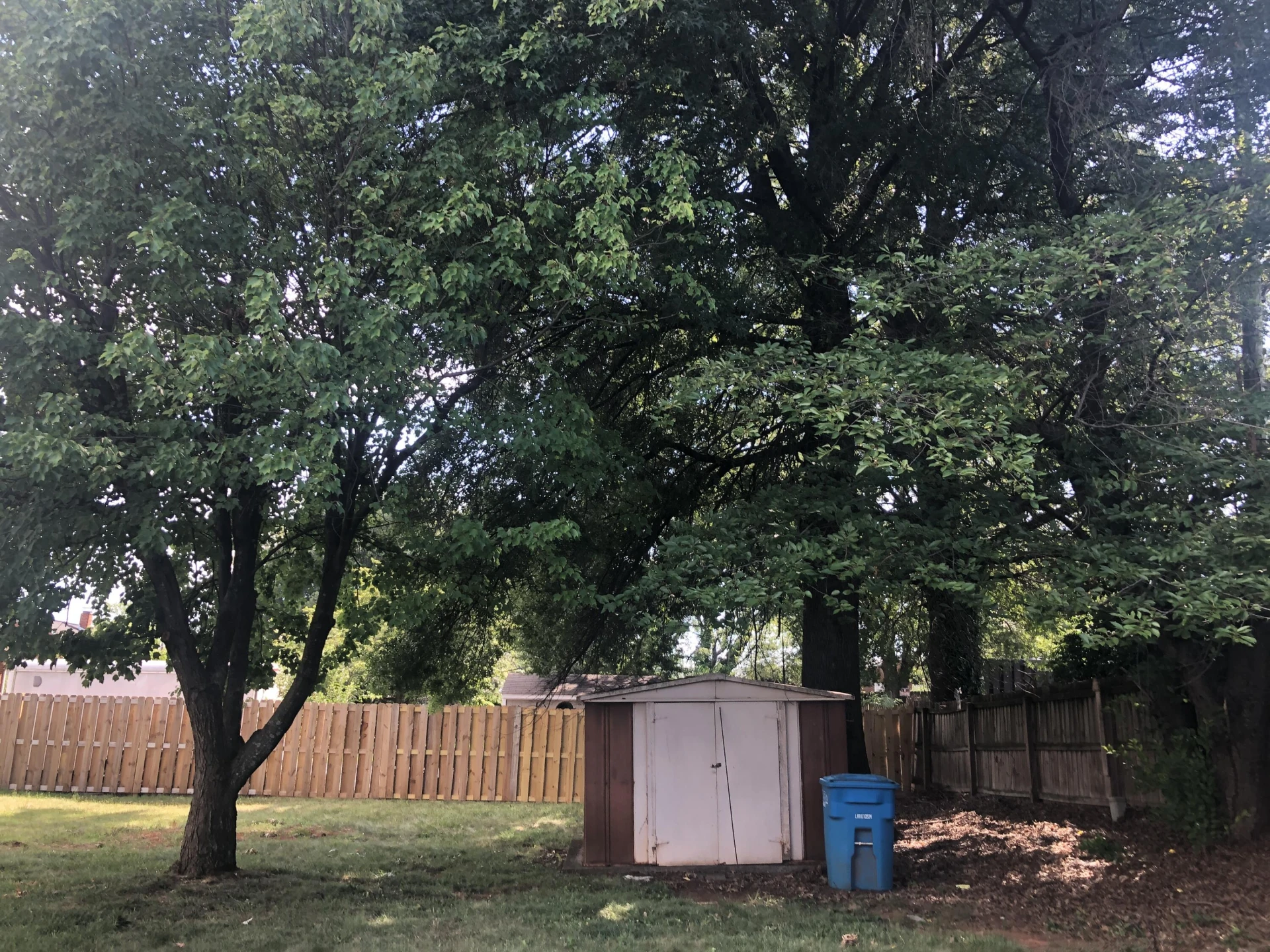 4908 Rutgers ST NW - Photo 3