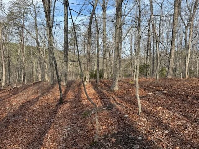 Lot 36 Chestnut DR