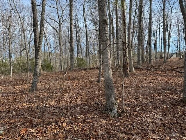 Lot 38 Chestnut DR