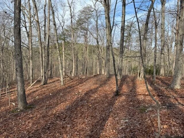 Lot 38 Chestnut DR - Photo 2
