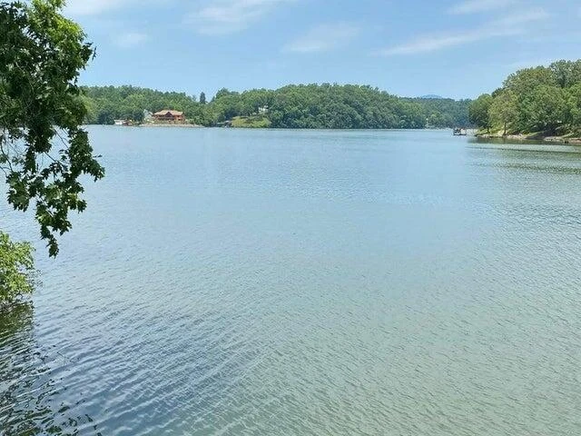 Lot 38 Chestnut DR - Photo 5