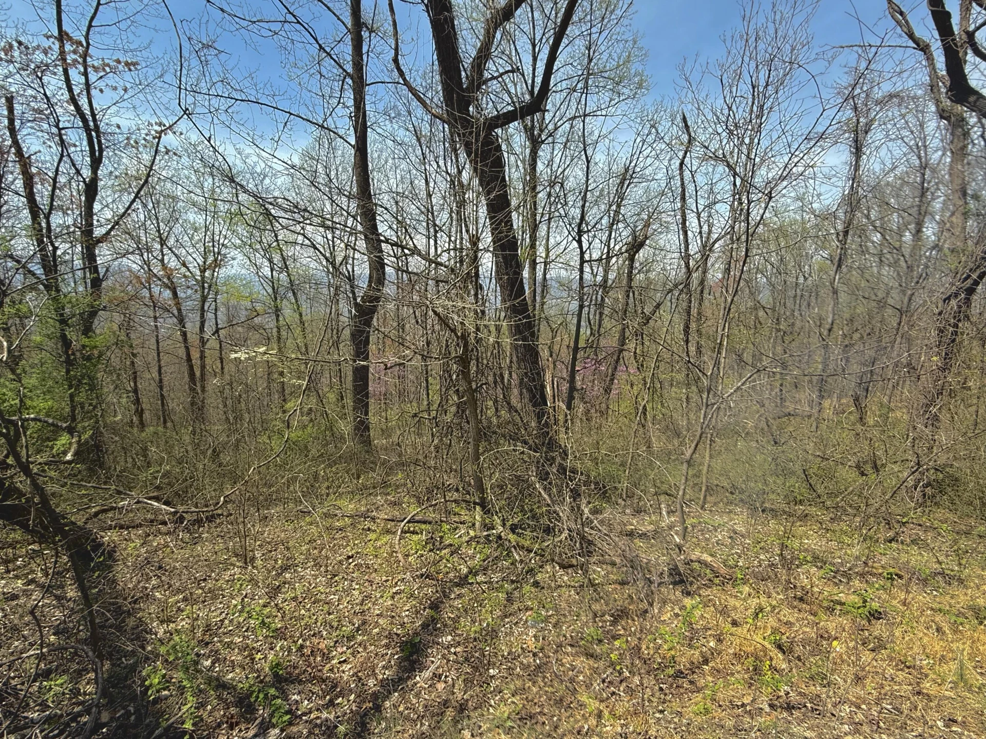 Lot 1 & 2 Murray Hollow RD - Photo 9