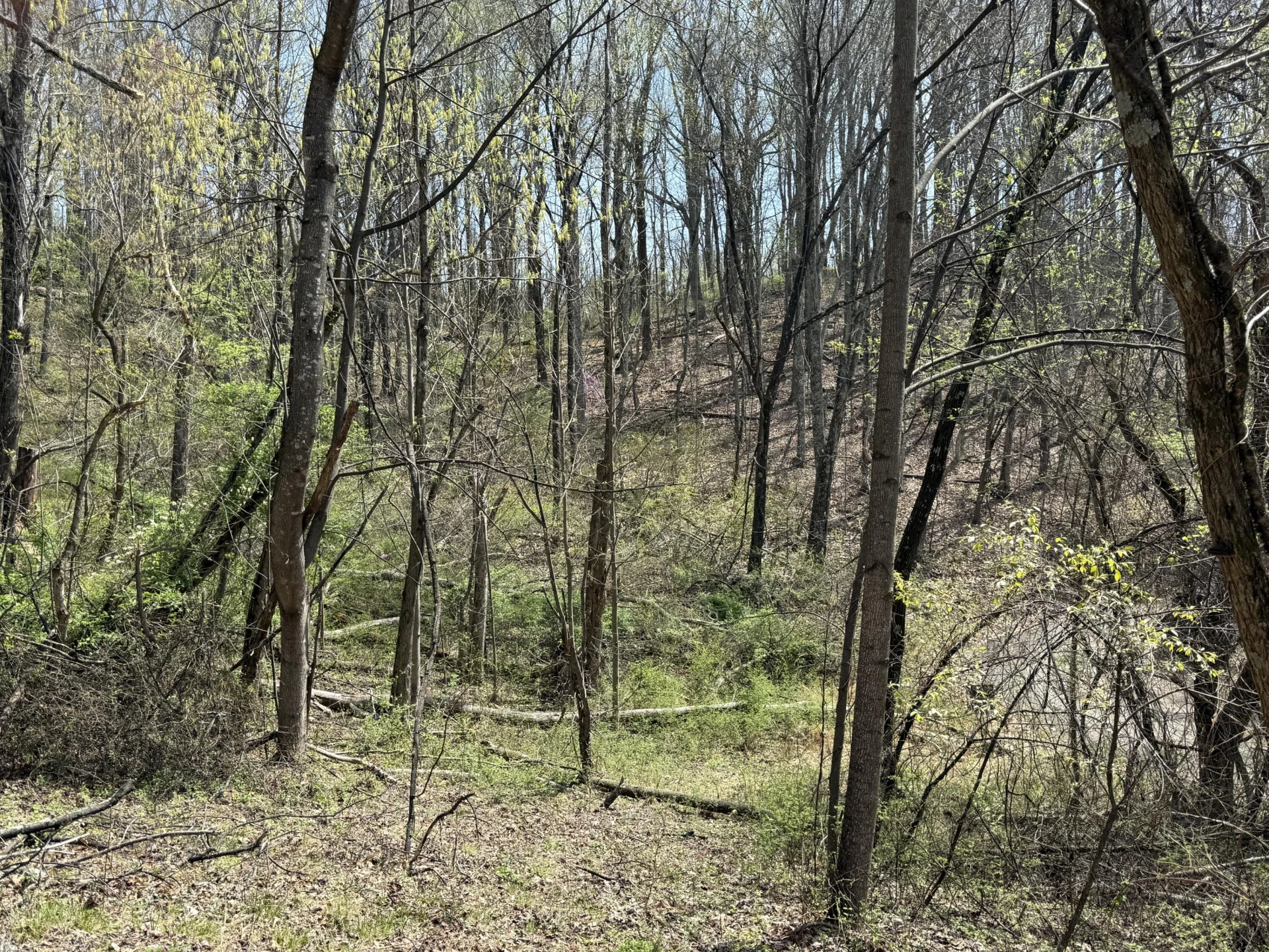 Lot 3 & 4 Murray Hollow RD - Photo 10