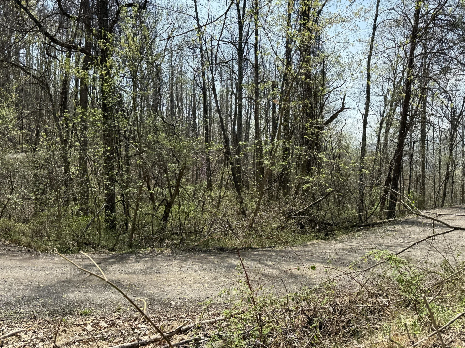 Lot 3 & 4 Murray Hollow RD - Photo 5
