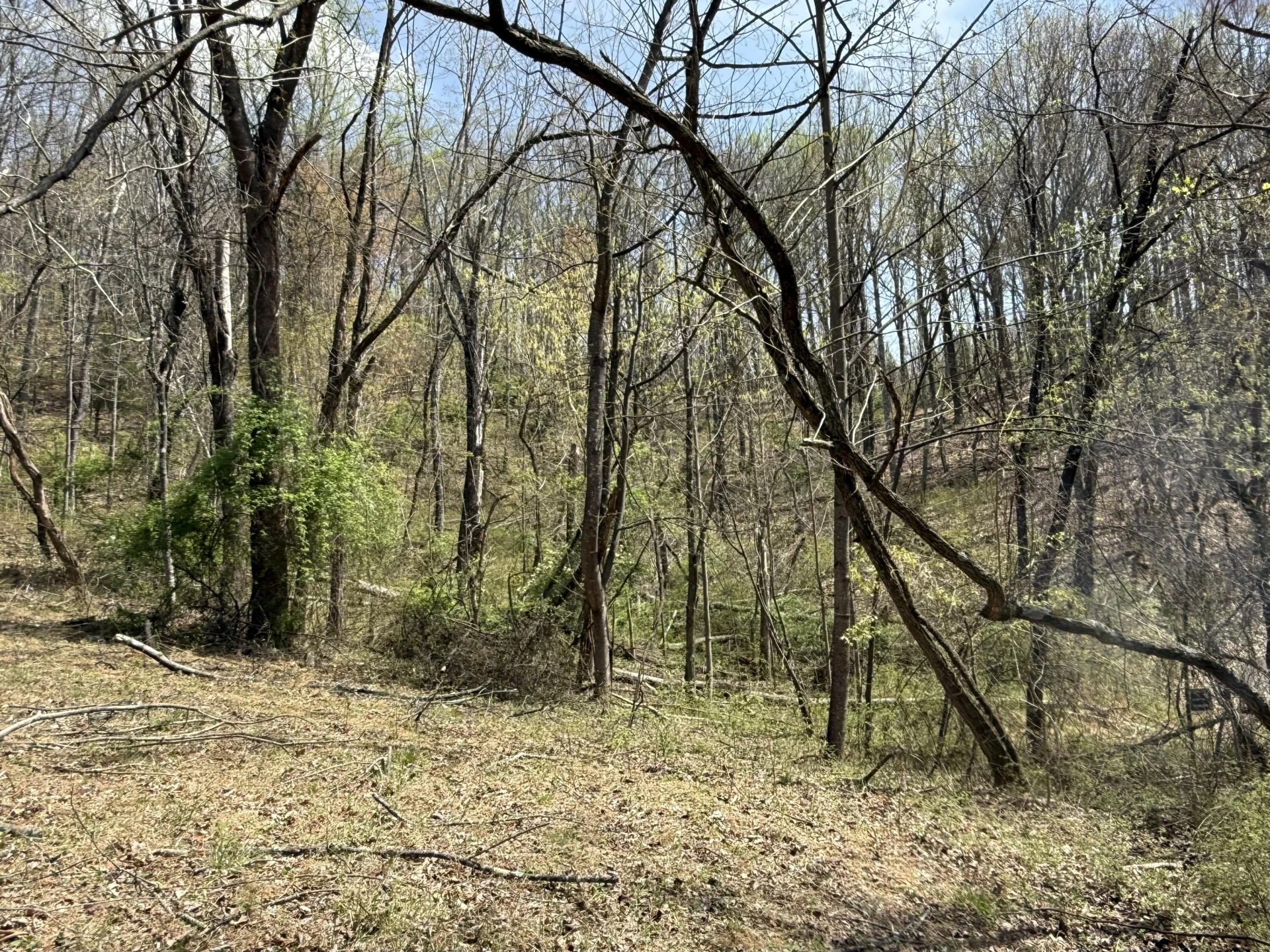 Lot 3 & 4 Murray Hollow RD - Photo 7