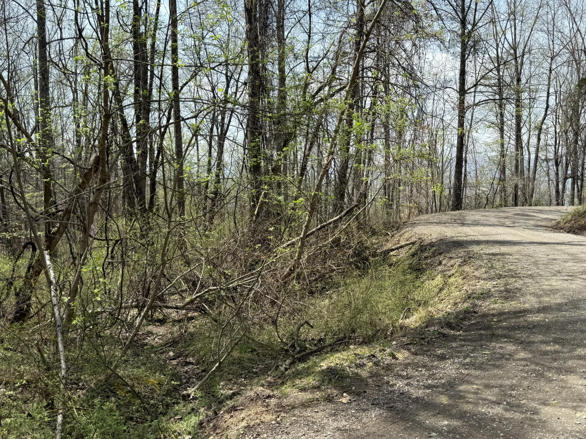 Lot 3 & 4 Murray Hollow RD - Photo 8