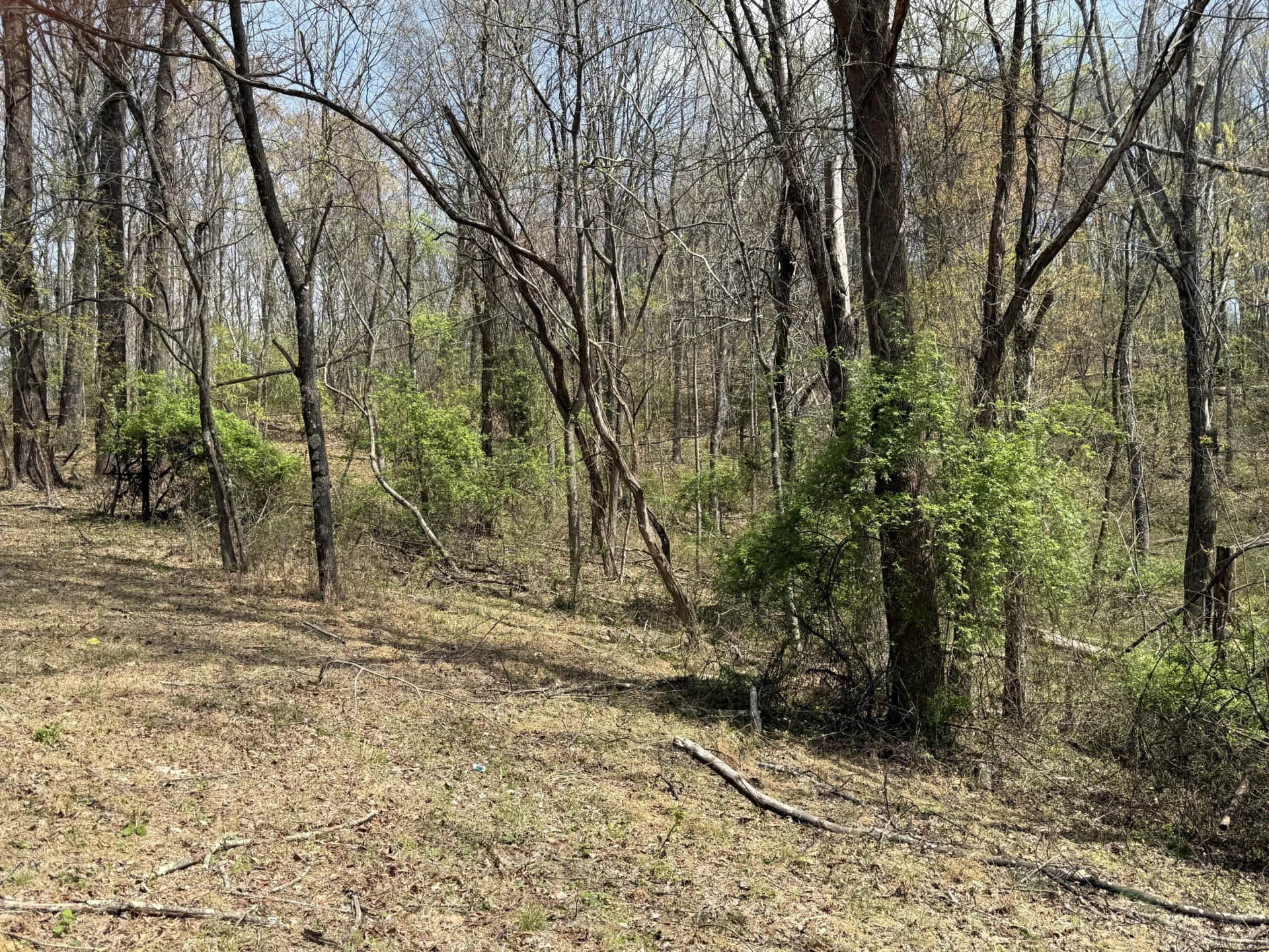 Lot 3 & 4 Murray Hollow RD - Photo 9