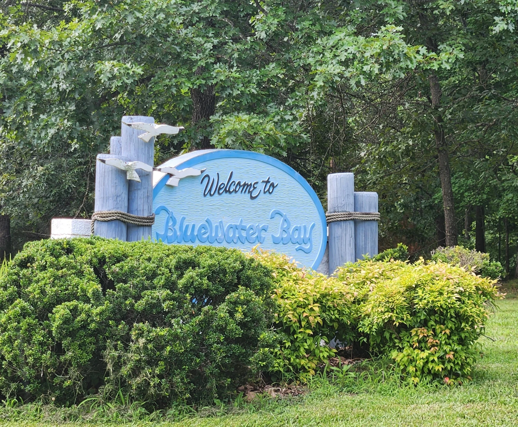 Lot 6 Sunny Cove DR - Photo 4
