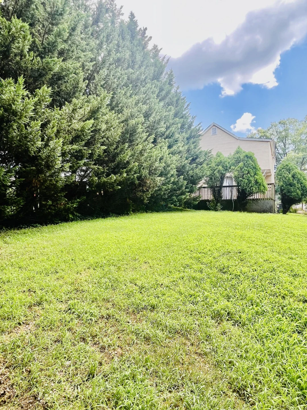 802 Mountain AVE SE - Photo 4