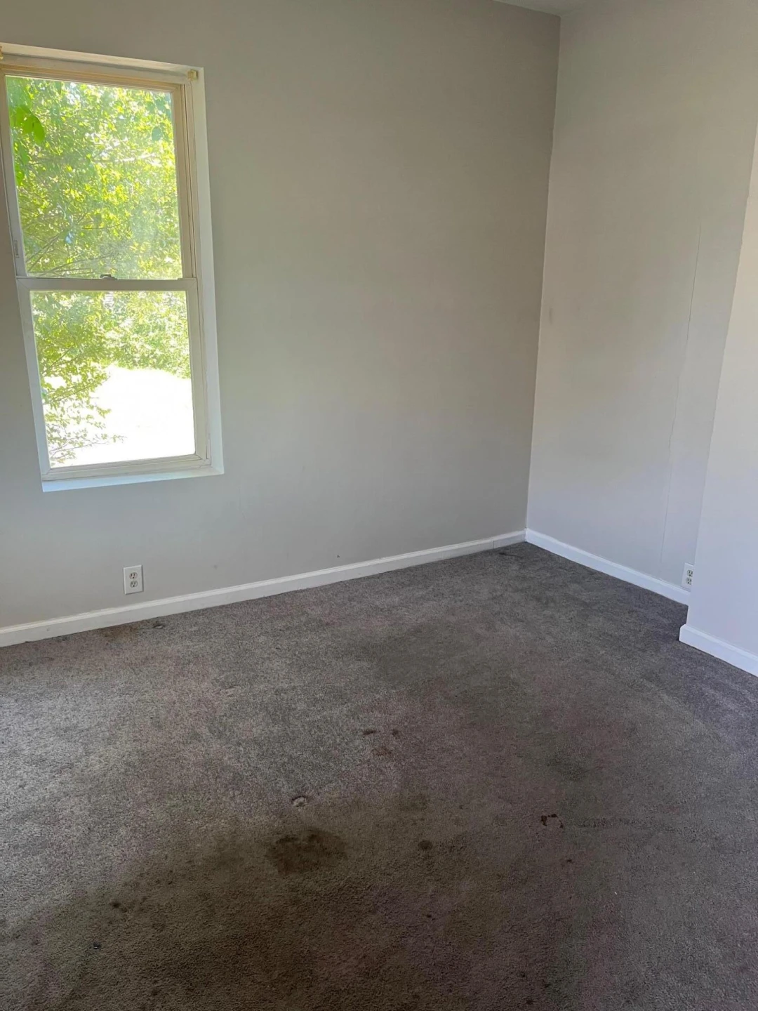 302 Patton AVE NW - Photo 16